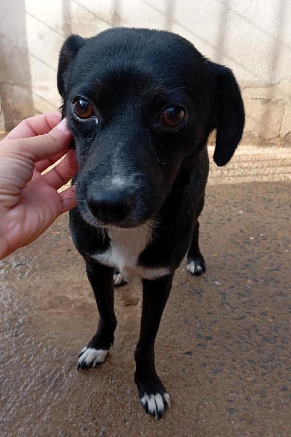 Leo E Luigi Cercano Casa